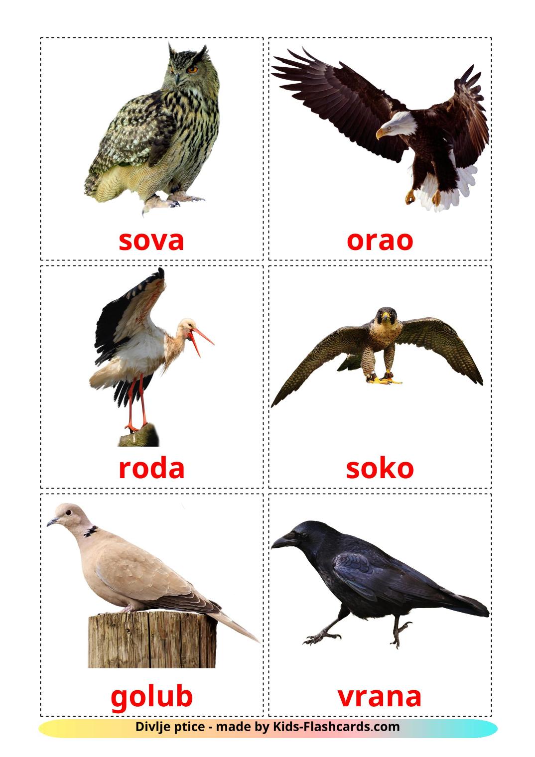 Wild birds - 18 Free Printable serbian Flashcards 