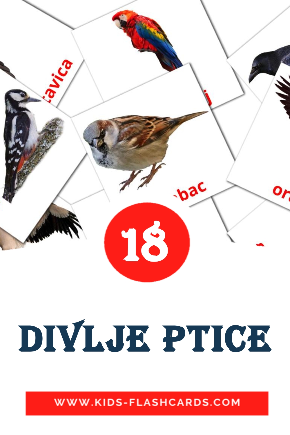 Divlje ptice на сербском для Детского Сада (18 карточек)