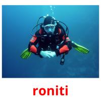 roniti picture flashcards