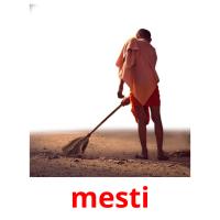 mesti picture flashcards