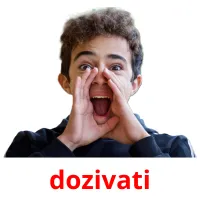 dozivati Bildkarteikarten