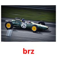 brz picture flashcards