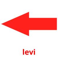 levi picture flashcards