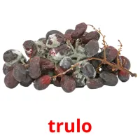 trulo ansichtkaarten