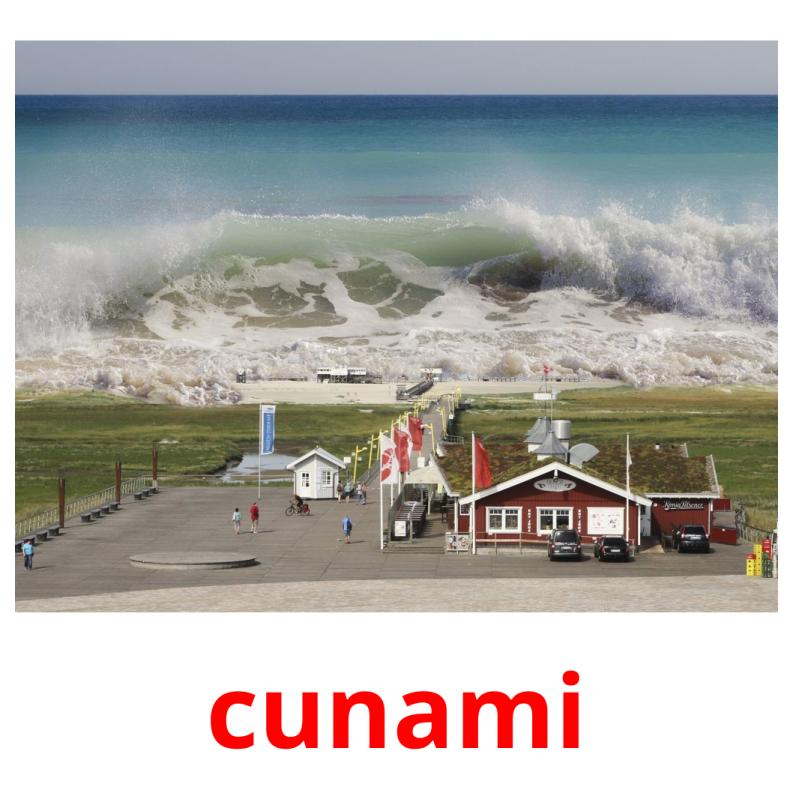 cunami picture flashcards