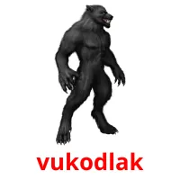 vukodlak Bildkarteikarten