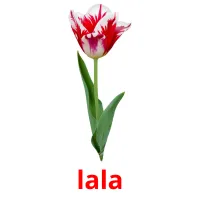 lala ansichtkaarten