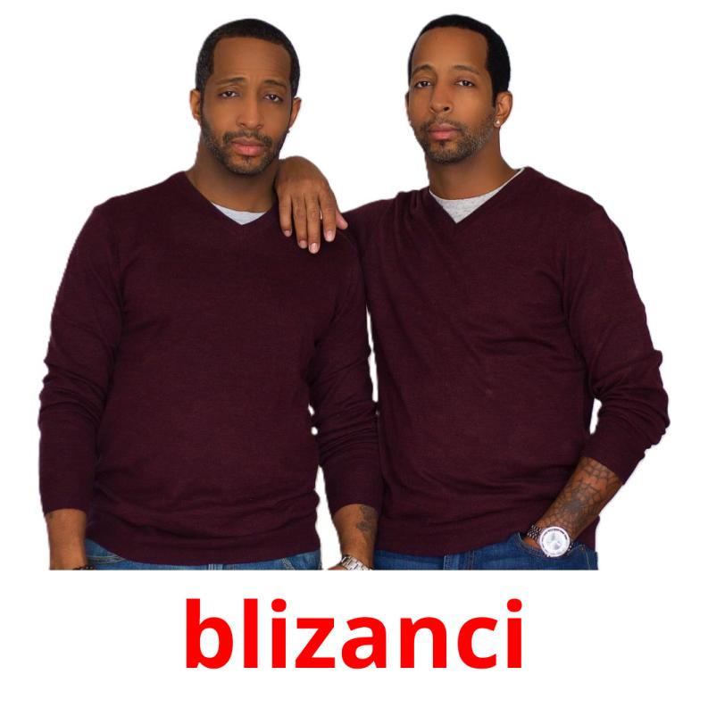 blizanci picture flashcards