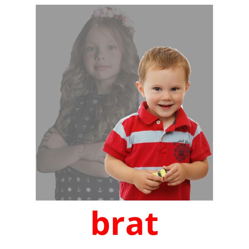 brat flashcards illustrate