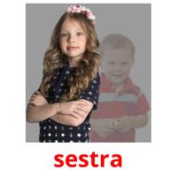 sestra picture flashcards