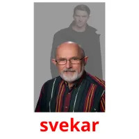 svekar Bildkarteikarten