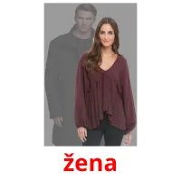 žena Tarjetas didacticas