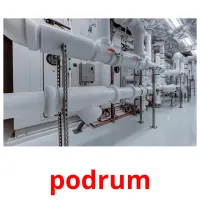 podrum picture flashcards