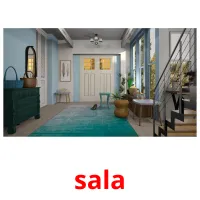 sala picture flashcards