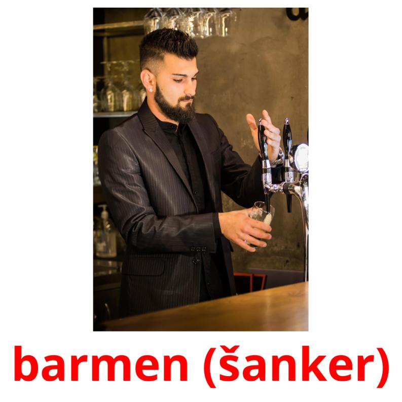 barmen (šanker) picture flashcards