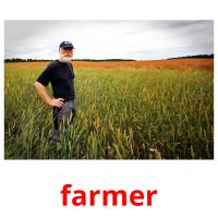 farmer Tarjetas didacticas