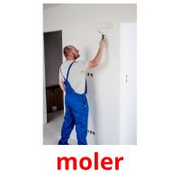 moler flashcards illustrate