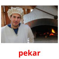 pekar picture flashcards