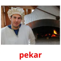 pekar Bildkarteikarten