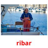 ribar picture flashcards