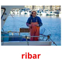 ribar Bildkarteikarten