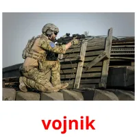 vojnik Bildkarteikarten