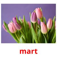 mart picture flashcards