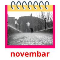 novembar picture flashcards