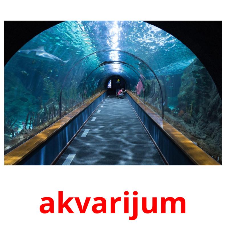 akvarijum picture flashcards