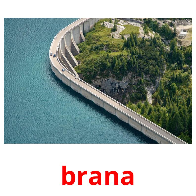 brana picture flashcards