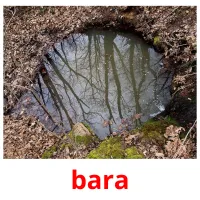 bara cartões com imagens