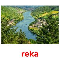 reka picture flashcards
