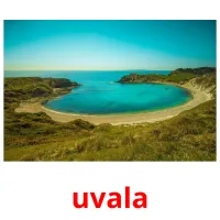 uvala cartões com imagens