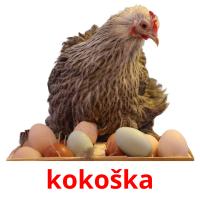 kokoška picture flashcards