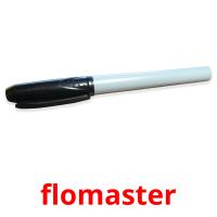 flomaster picture flashcards