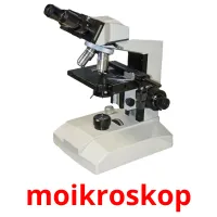 moikroskop cartões com imagens