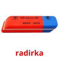 radirka picture flashcards