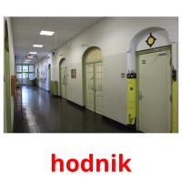 hodnik picture flashcards