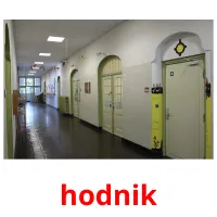 hodnik flashcards illustrate