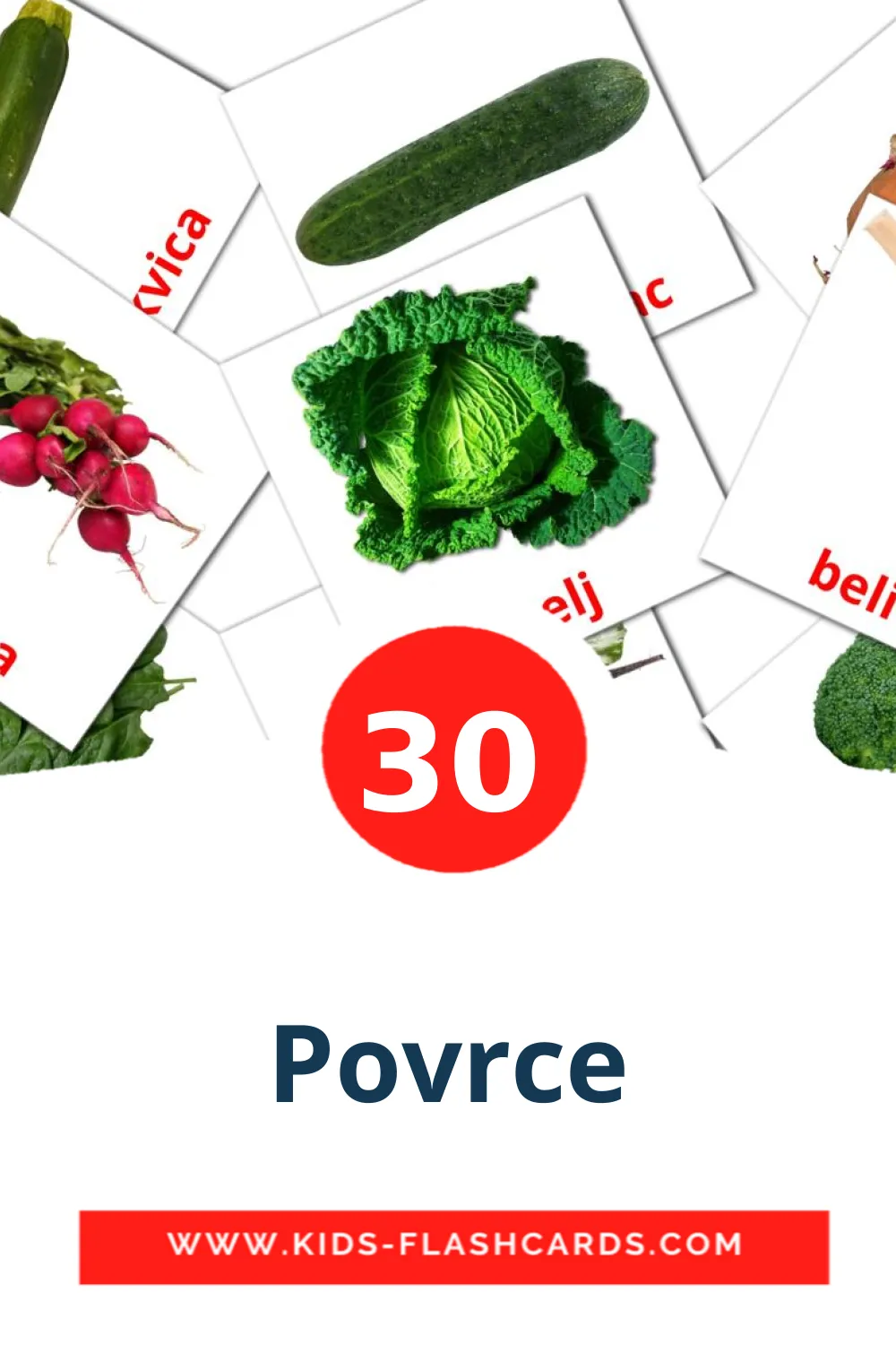 30 Povrce Picture Cards for Kindergarden in serbian