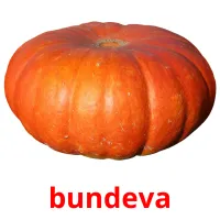 bundeva picture flashcards