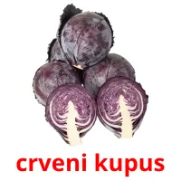 crveni kupus picture flashcards