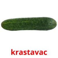 krastavac picture flashcards