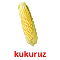 kukuruz picture flashcards