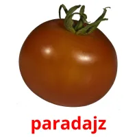 paradajz picture flashcards