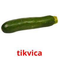 tikvica picture flashcards