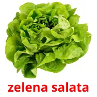 zelena salata cartões com imagens