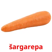 šargarepa picture flashcards