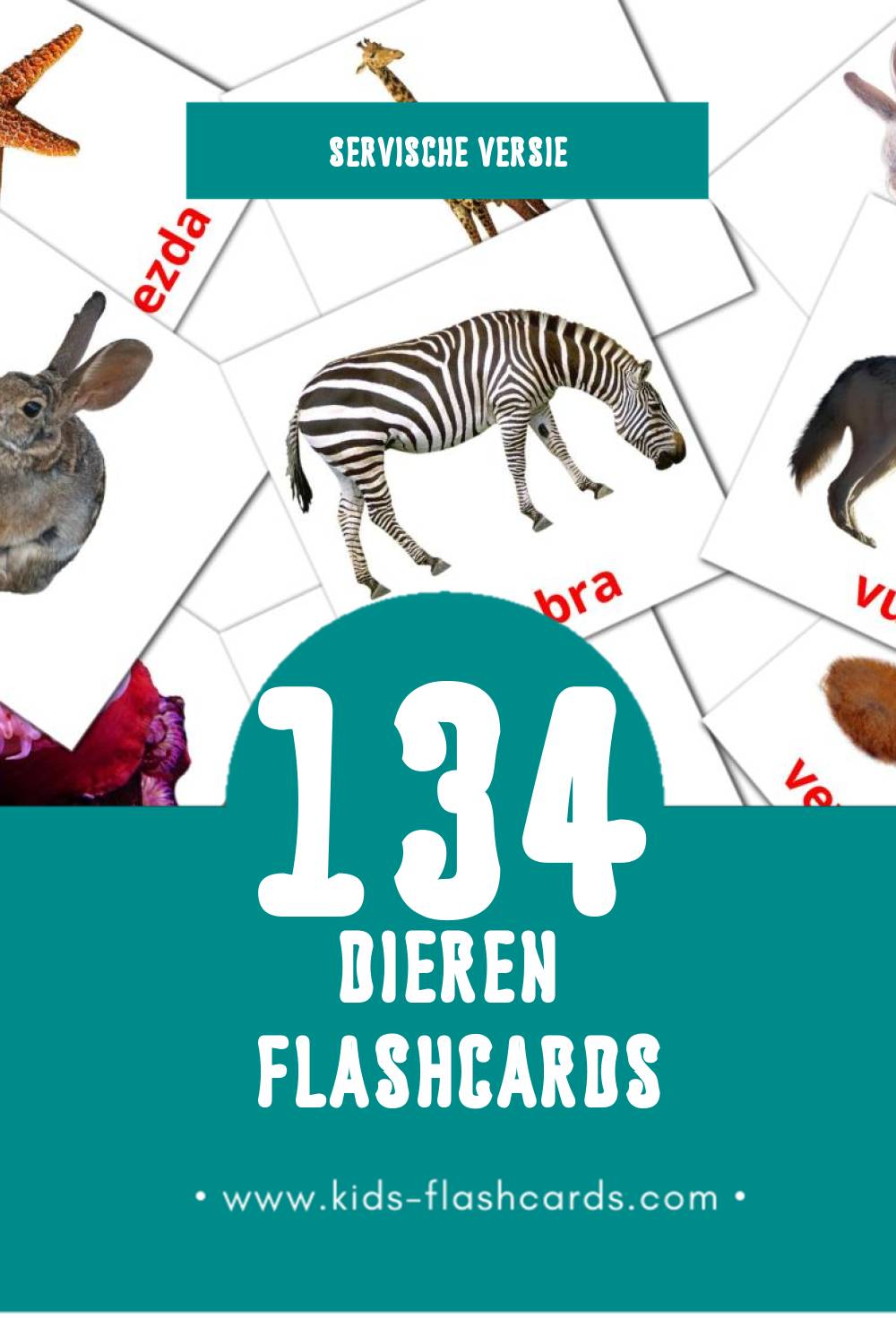 Visuele Životinje Flashcards voor Kleuters (134 kaarten in het Servisch)