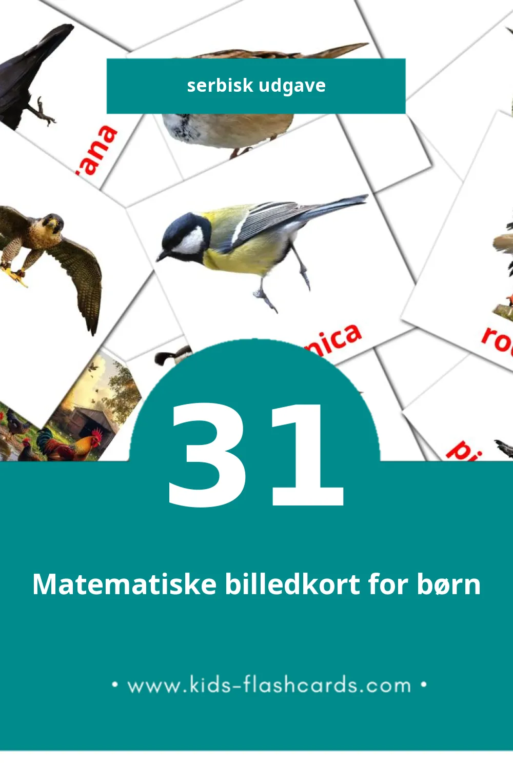 Visuelle billedkort for børn om Ptice til småbørn (31 kort på Serbisk)
